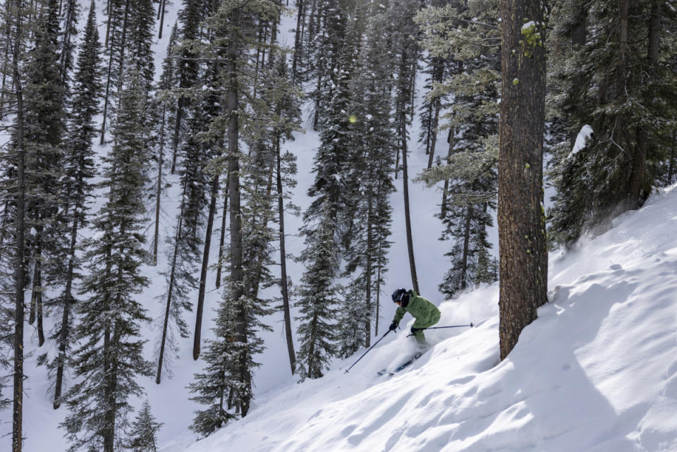 Finding a bit of fresh in the trees at Sun Valley Resort. March, 2024<p>Skier: Matt Lorelli/Powder Magazine, Photo: Columbia Sportswear</p>