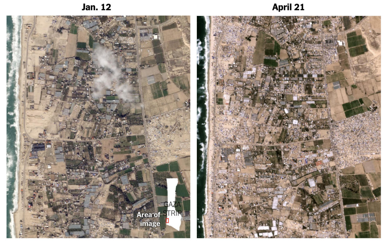 In satellite images provided by Planet Labs, an image from April 21 shows tent encampments occupying land that had been empty in mid-January in a beachside area known as Al-Mawasi in the Gaza Strip. (Planet Labs via The New York Times)