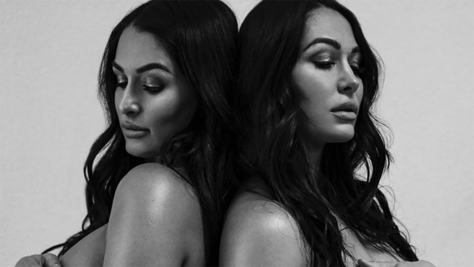 WWE superstar twins Nikki and Brie Bella have stunnned wrestling fans with a series of nnude pregnancy photoshoots, as the pair prepare to give birth. Picture: Instagram/thenikkibella