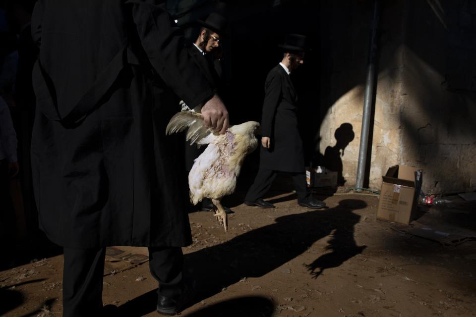 An Ultra-Orthodox Jewish man holds a chicken during the Kaparot ritual in Bnei Brak, Israel, Tuesday, Sept. 14, 2021. Observant Jews believe the ritual transfers one's sins from the past year into the chicken, and is performed before the Day of Atonement, Yom Kippur, the holiest day in the Jewish year which starts at sundown Wednesday. (AP Photo/Oded Balilty)