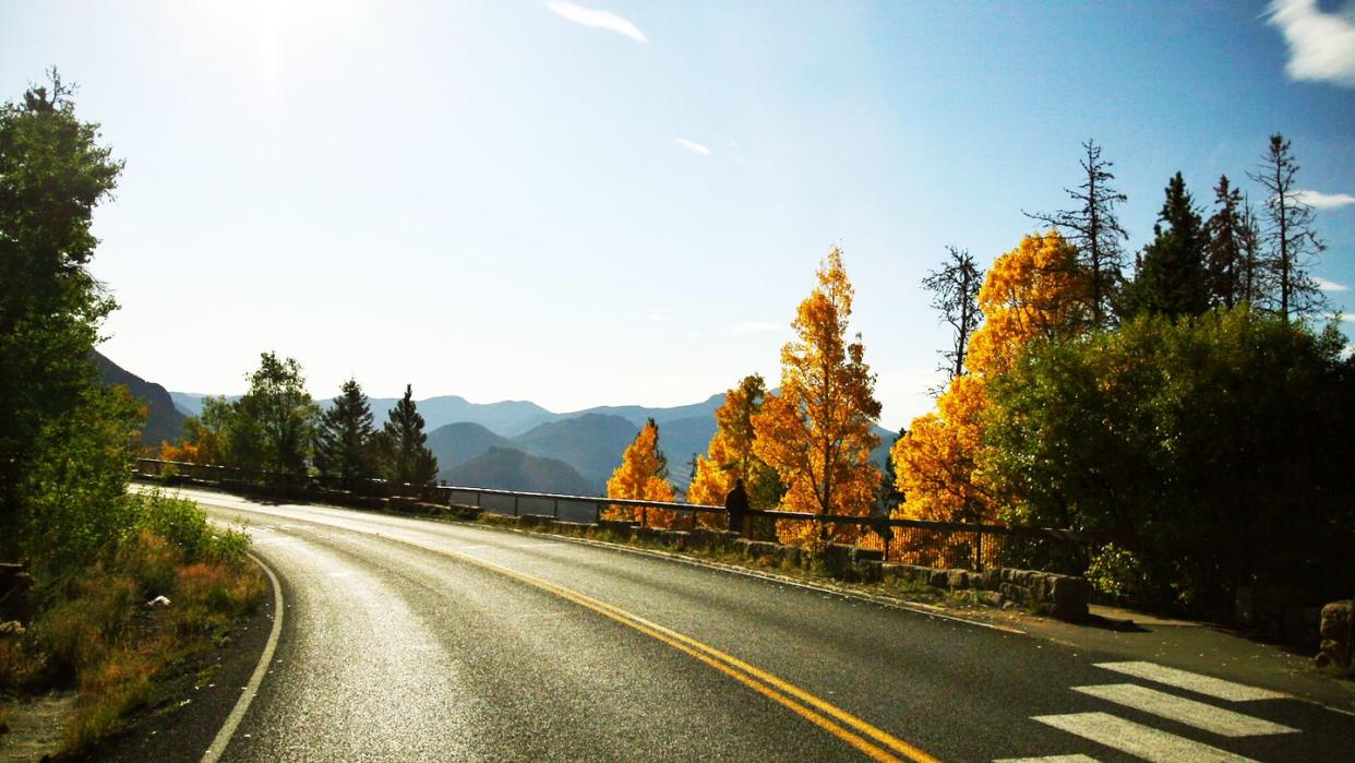 best scenic drives trail ridge road