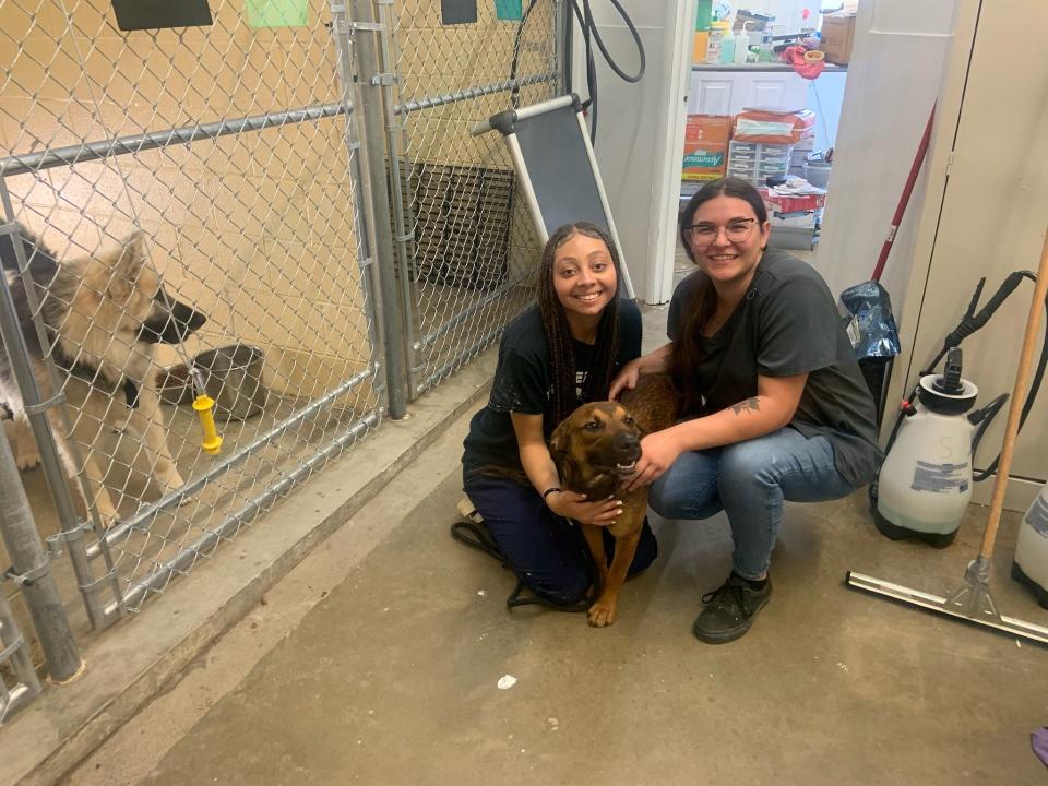 Madison County Animal Services staff members Nevaeh Rice, left, and Cedes Oswald pose with one of the five  hound/shepherd mix siblings who were abandoned on Max Patch and taken into the shelter June 13.