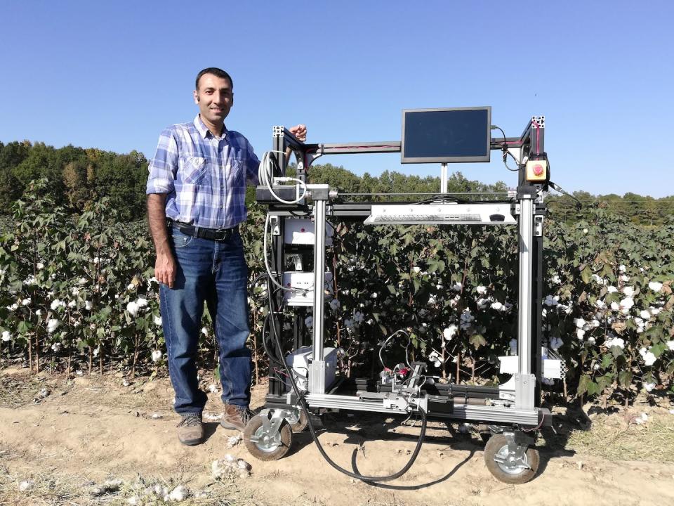 A man stands in front of a cotton field, next to a machine on wheels with a computer screen and hanging wires on it.