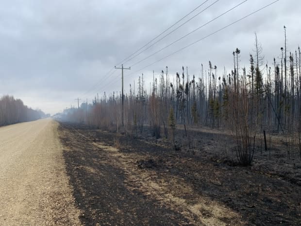 The fire had covered at least 1,000 hectares of land as of Friday, leaving charred trees in its wake.