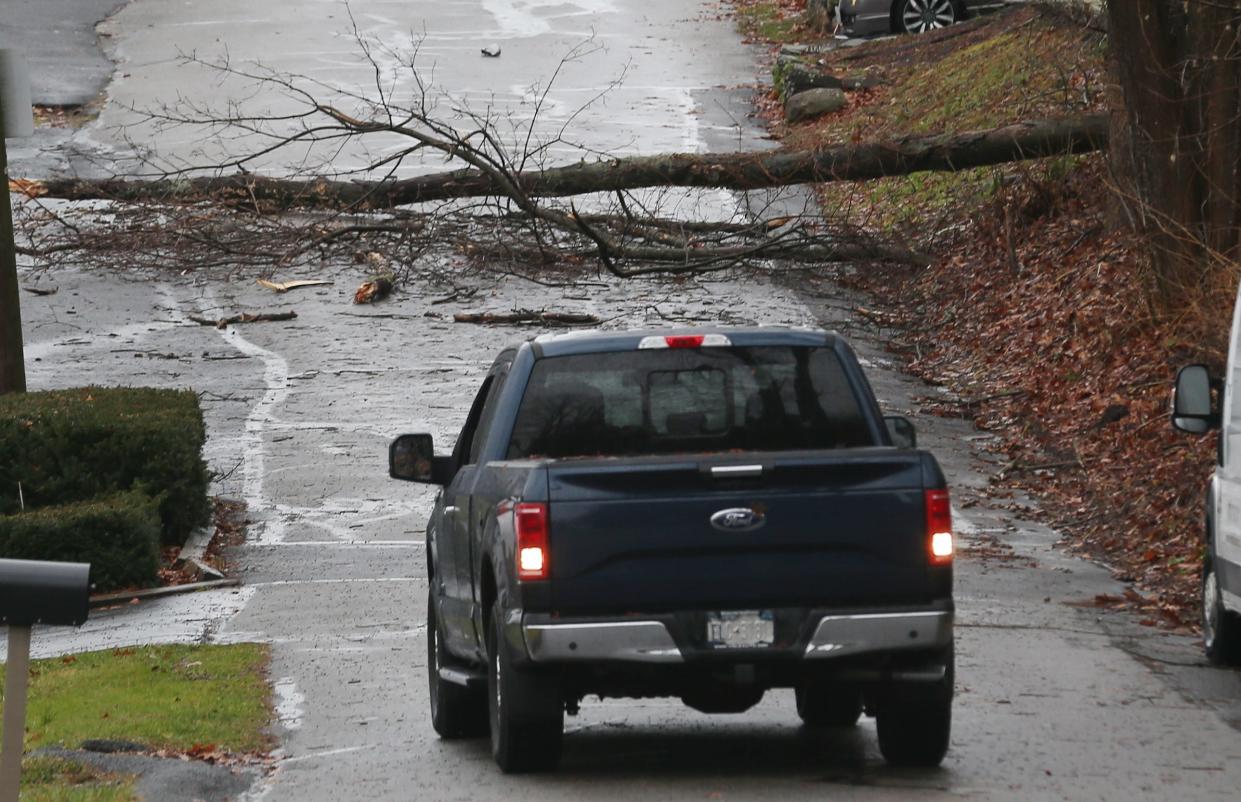 A truck backs up after a tree fell across Lake Street in North Salem during heavy rain and wind Dec. 18, 2023.