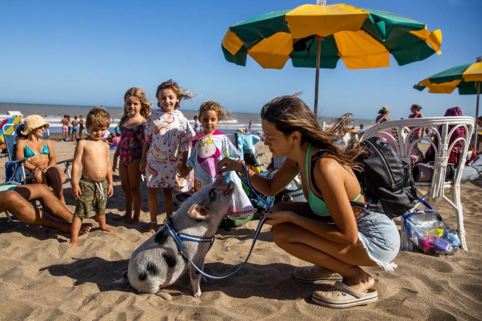 Chanchi se transformó en uno de los atractivos en las playas del centro de Pinamar