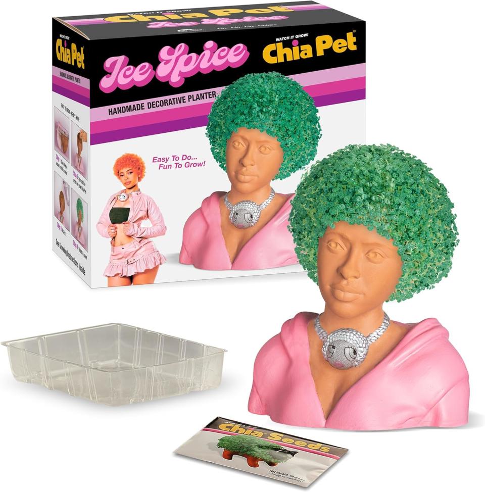 ice spice-shaped chia pet