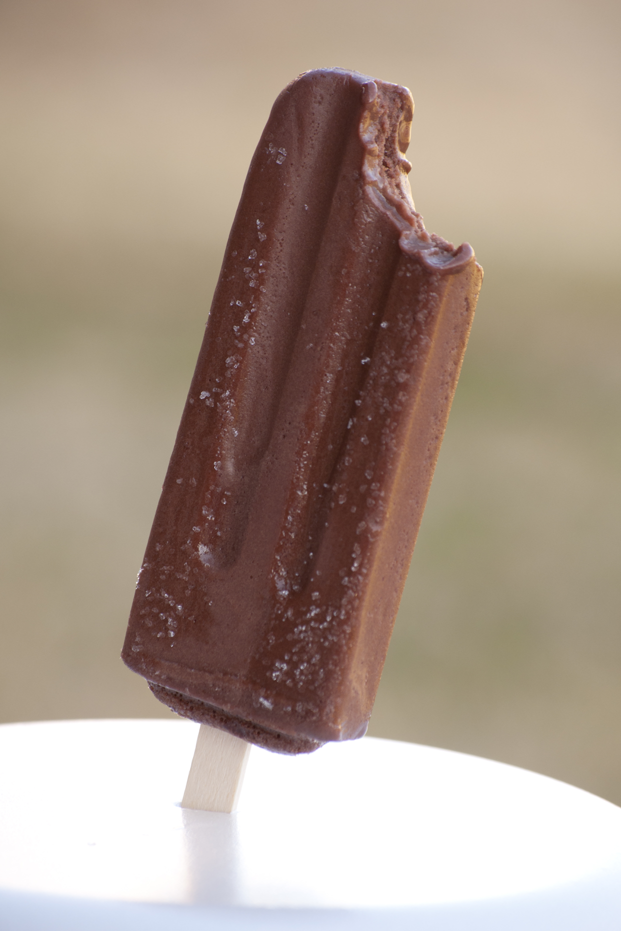 Fudge Pop