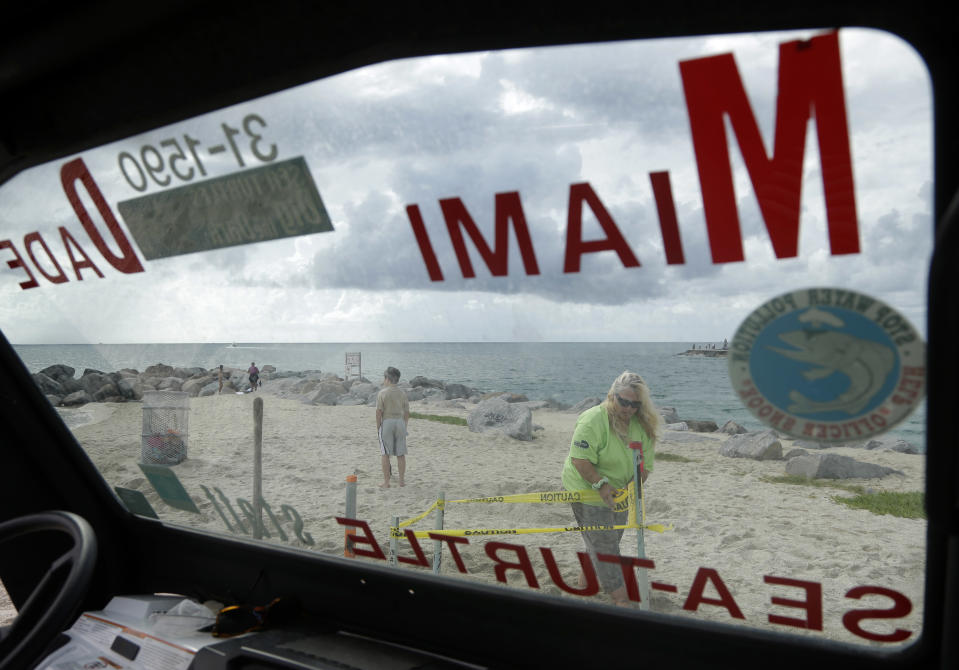 In this photo taken Tuesday, July 9, 2013, Selina Mills, a sea turtle nesting surveyor with the Miami-Dade County Parks, tapes off a sea turtle nesting sight on Haulover Beach in Miami. All sea turtles are protected by the Federal Endangered Species Act. It is against the law to touch or disturb nesting sea turtles, hatchlings, or their nests. Sea turtle nesting season on Florida's Atlantic coast runs from March through October. (AP Photo/Lynne Sladky)