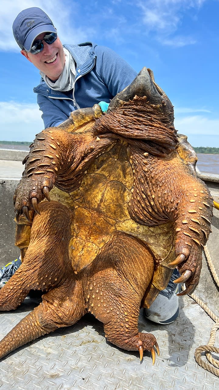 Art-Weston-with-alligator-snapping-turtle