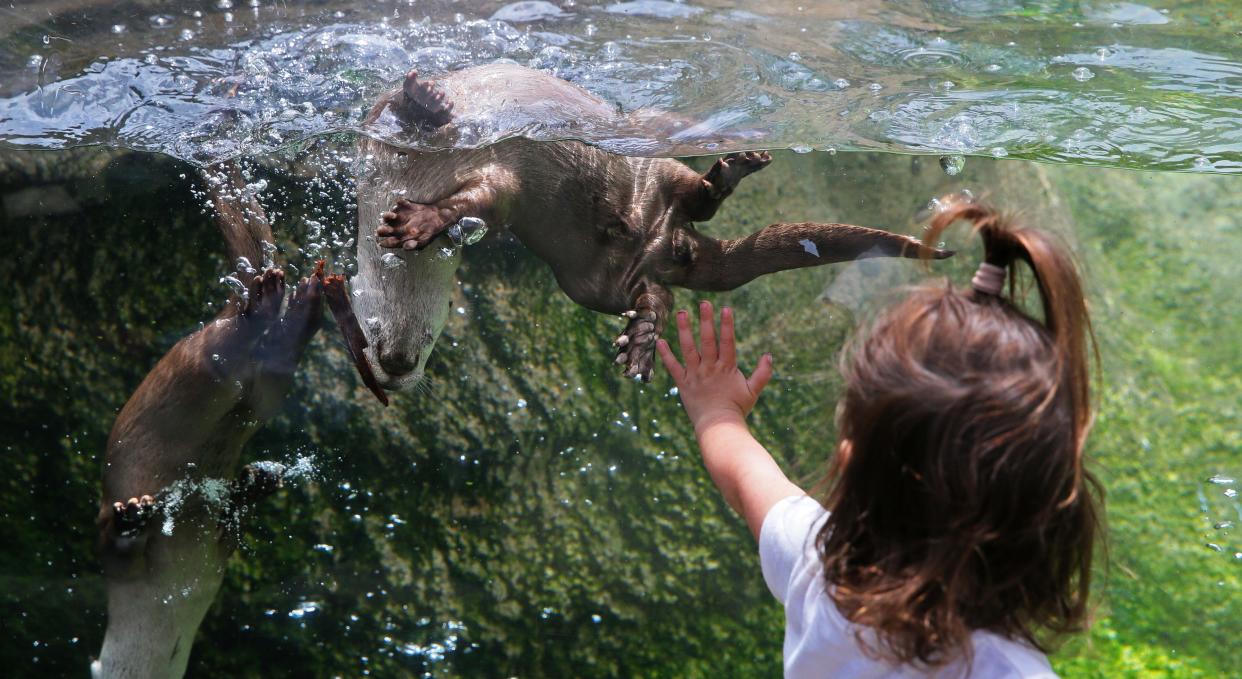 The Milwaukee County Zoo has periodic free-admission days throughout the year.