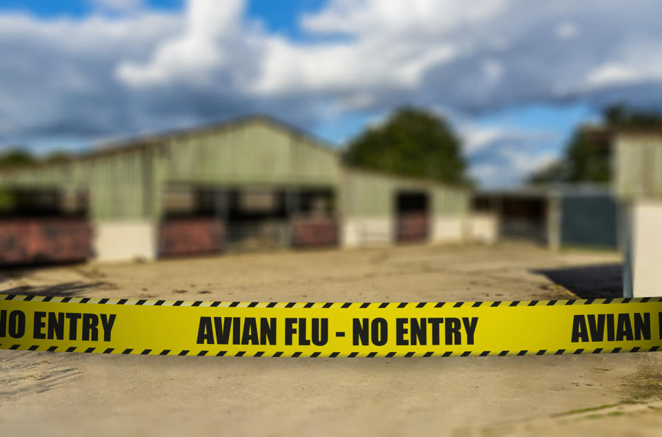 A sign saying "Avian Flu - No Entry" against a farm backdrop. Used when diseases like swine flu and avain flu breakout.