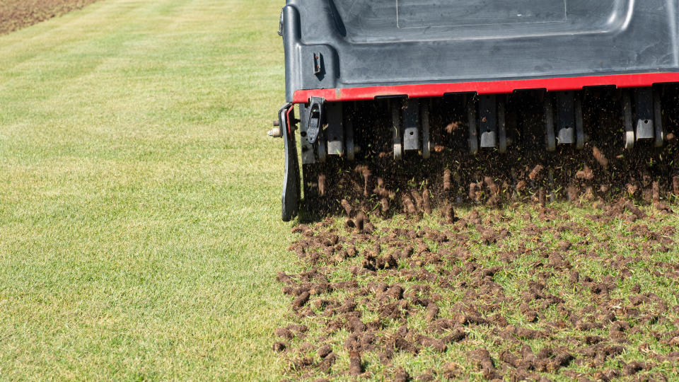 A core aerator being used to aerate a lawn