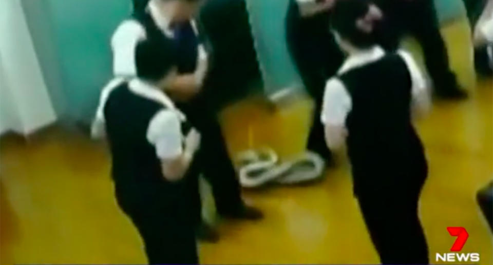 Python on the ground after it fell from the ceiling and interrupted a bank meeting in China. 