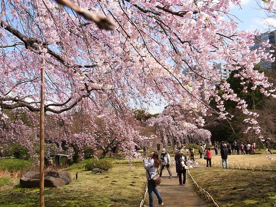 小石川後樂園 (Photo by江戸村のとくぞう (Edomura no Tokuzo), License: CC BY-SA 3.0, Wikimedia Commons提供)