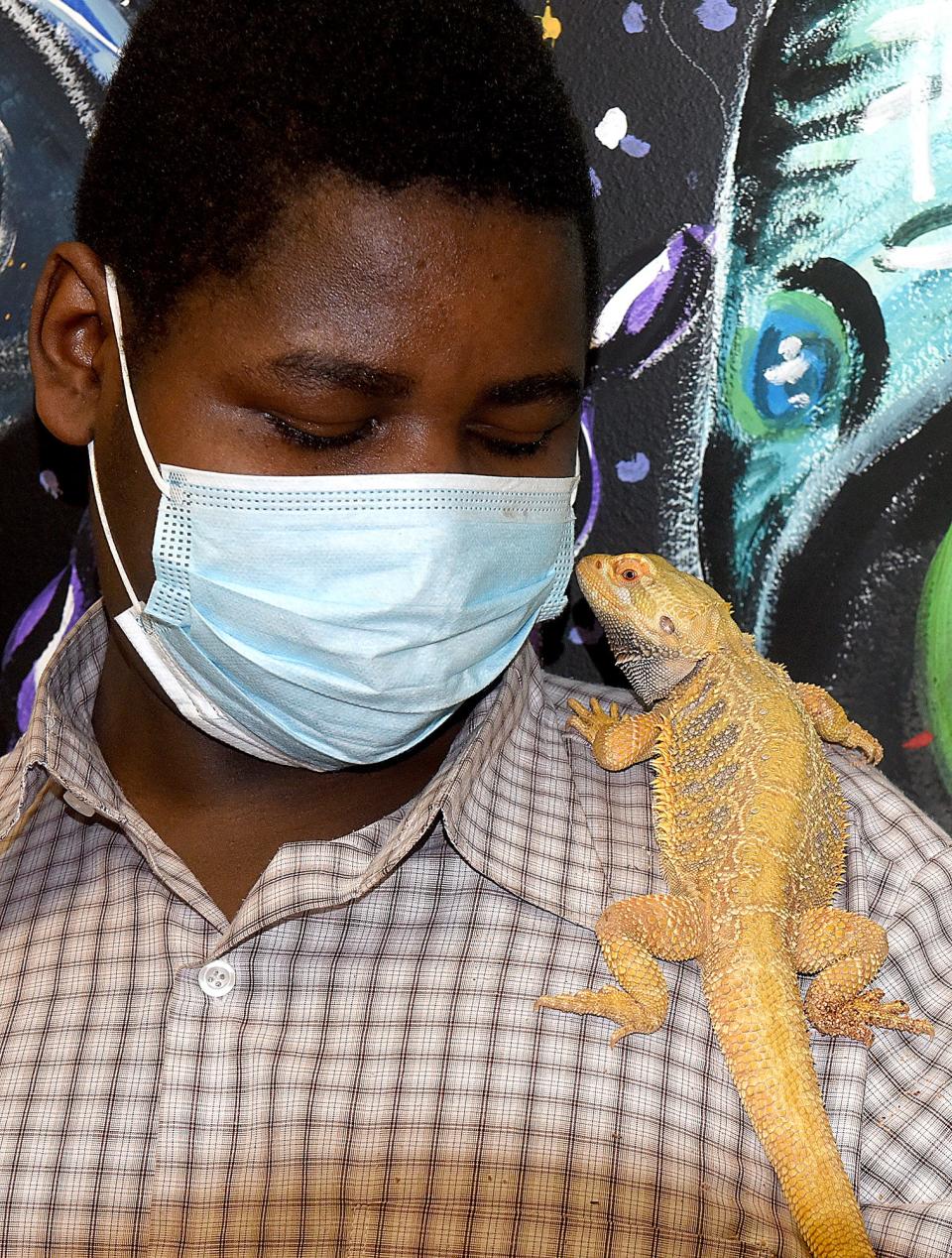 David Tsedha, 14, an eighth grader at Jefferson Middle School, allows a bearded dragon to crawl on his shoulder on Friday during care for the zoo animals at the school.