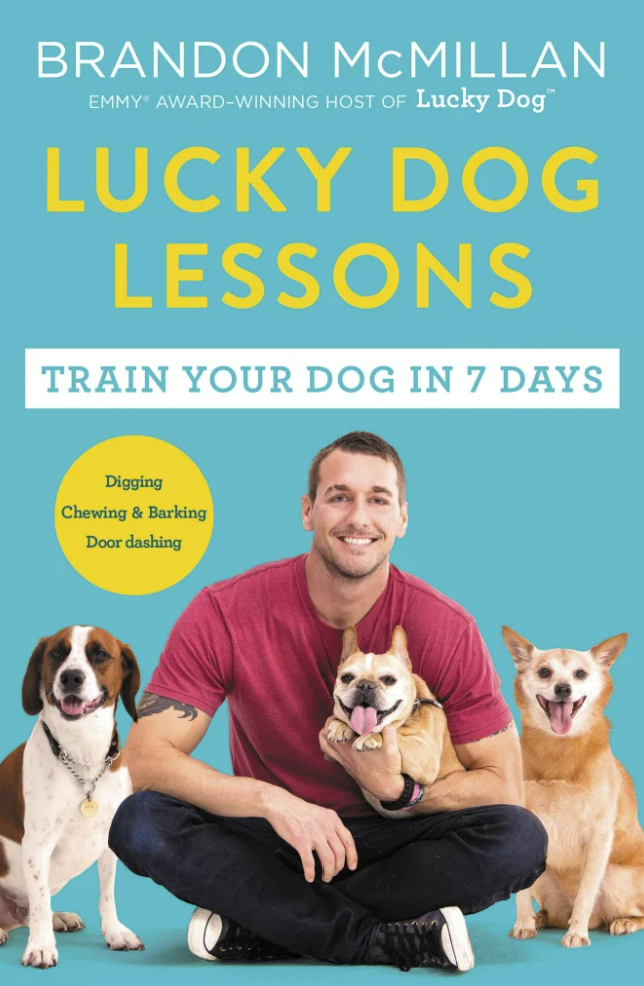 dog training books, dog training, training rescue dog products