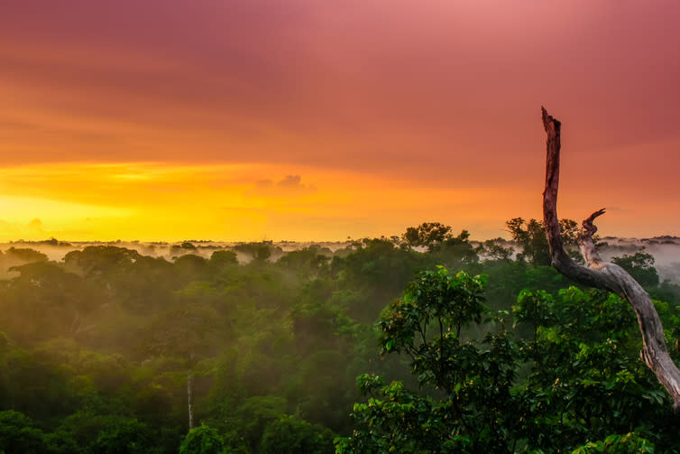 <span class="caption">Sunset over the Javari Valley, Brazil.</span> <span class="attribution"><span class="source">streetflash / shutterstock</span></span>