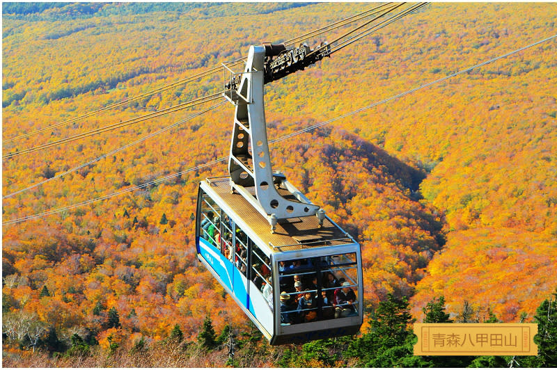 八甲田山紅葉絕景