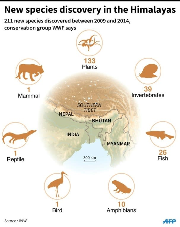 Map and factfile on new species discovered in the Himalayas