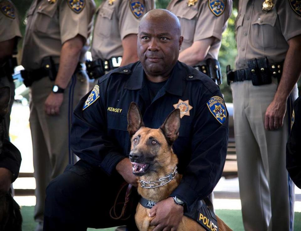 Laika, a Belgian Malinois, poses for a photo with her handler during the California Highway Patrol graduation ceremony for eight canines and their handlers in July 2014 at the CHP Academy in West Sacramento. The CHP will have another graduation ceremony on Friday.