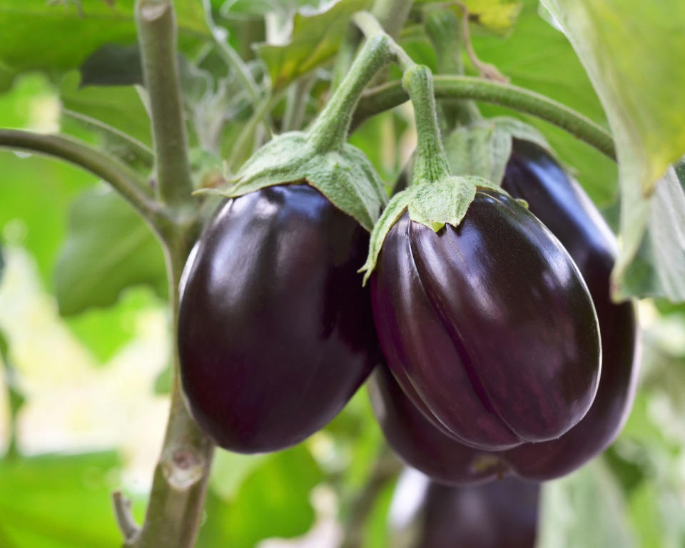 4. Aubergines