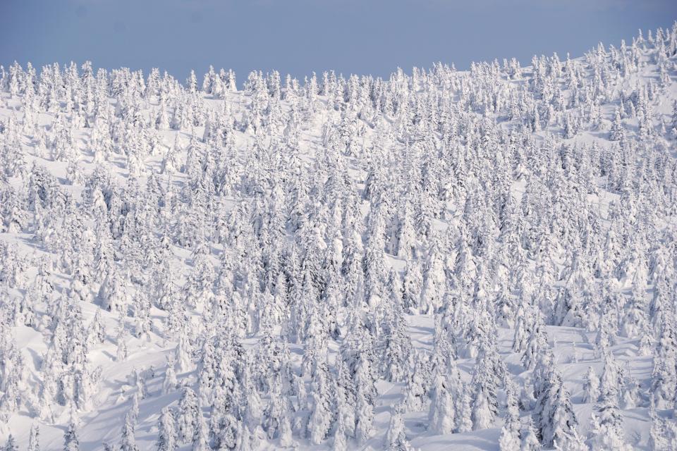 日本旅遊｜青森縣雪國絕景隱世燈火溫泉村民宿！零電子生活回歸簡樸感受溪間貫世界