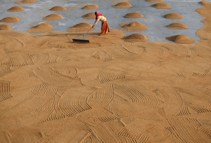 FILE PHOTO: A worker spreads rice for drying at a rice mill on the outskirts of Kolkata