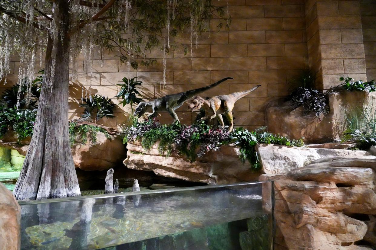 Dinosaurs greet guests in the lobby next to a pool of water with live fish in it on Thursday, Jan. 25, 2024, at the Creation Museum in Petersburg, Ky. The Creation Museum and its exhibits are centered around the young Earth creationism belief, claiming the Earth is between 6,000 to 10,000 years old.