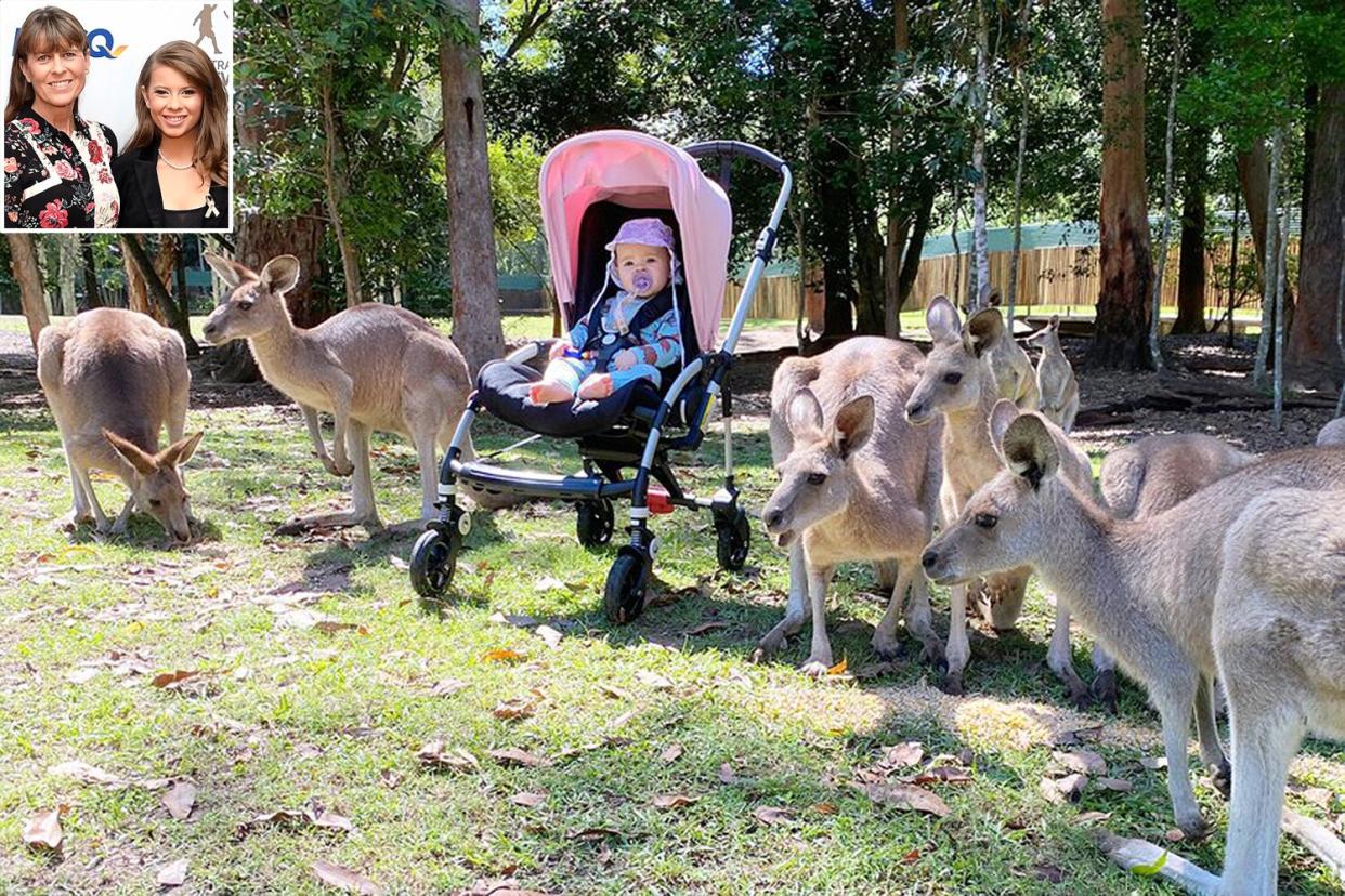 terri irwin, bindi irwin, grace warrior