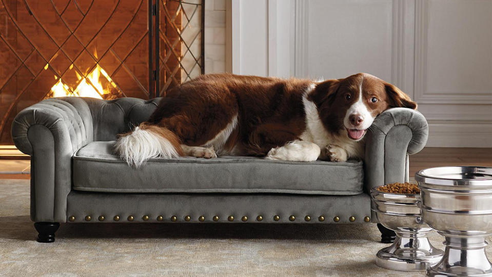 Wentworth Tufted Dog Sofa