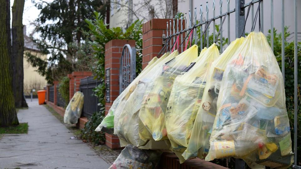 Gefüllte gelbe Müllsäcke hängen in einer Straße am Gartenzaun zur Abholung bereit.