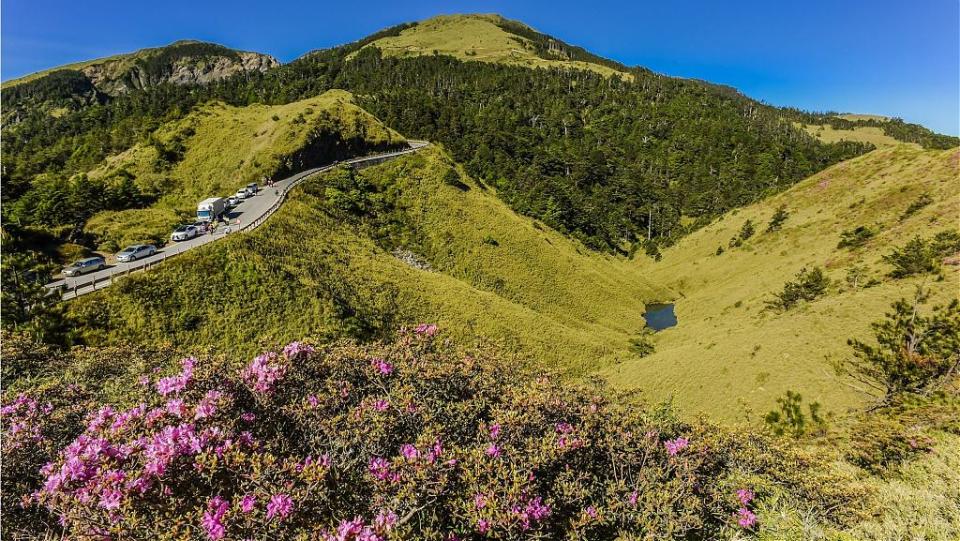 ▲合歡山杜鵑花季
（圖／Tripbaa趣吧！旅遊平台）