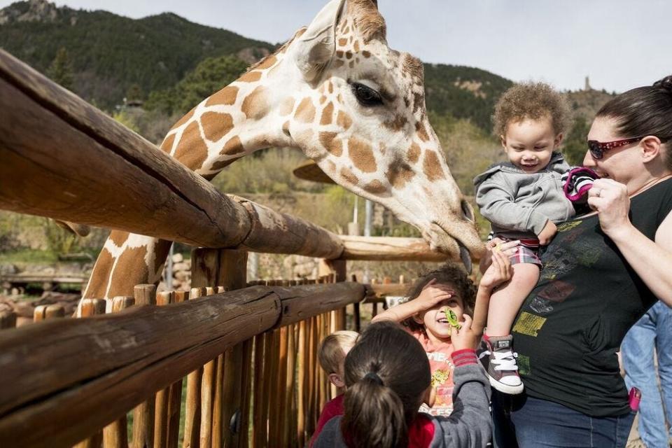 Cheyenne Mountain Zoo