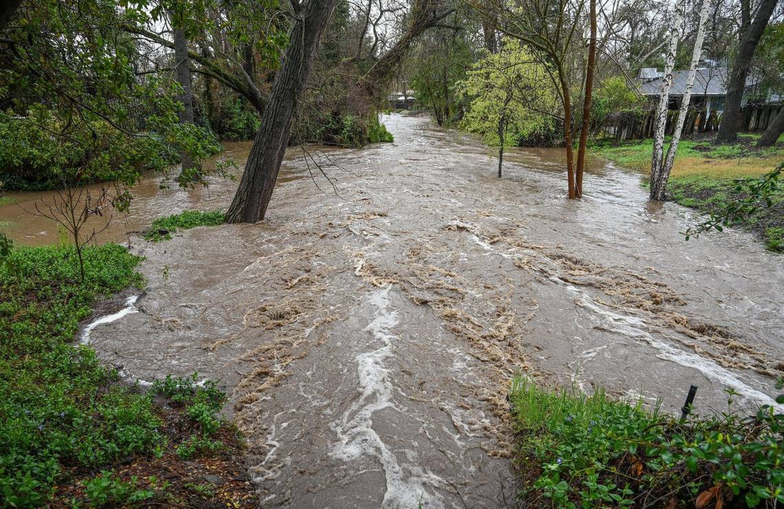 A creek in the Wildwood neighborhood along Piedra Road near the Kings River in eastern Fresno County swells close to homes in heavy rain and mountain runoff on Friday, March 10, 2023.