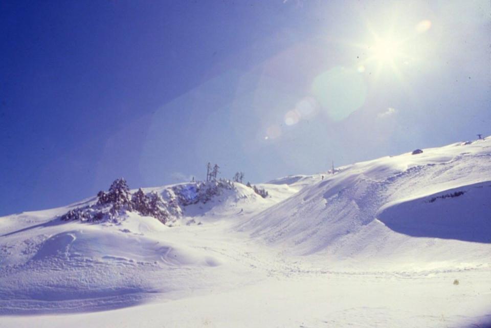 ▲不要懷疑，這是1981年的合歡山雪景，當年是國內著名滑雪場，但因氣候變遷，如今已很難想像。滑雪協會吳永義提供