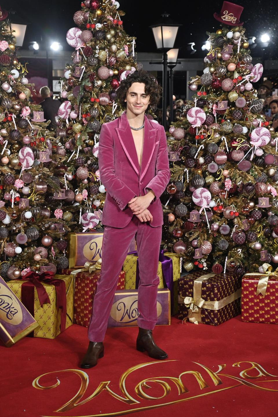 Timothée Chalamet at the World Premiere of "Wonka" at The Royal Festival Hall in London, England.