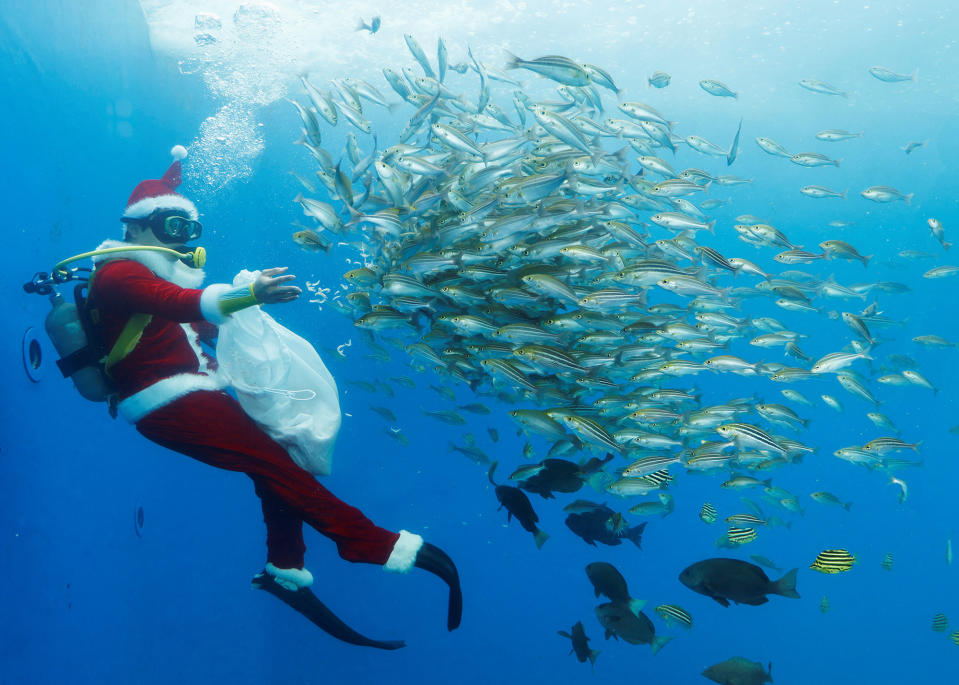 A diver wearing a Santa suit feeds fish in a large tank during an underwater performance at Hakkeijima Sea Paradise in Yokohama, Japan, on Dec. 1.