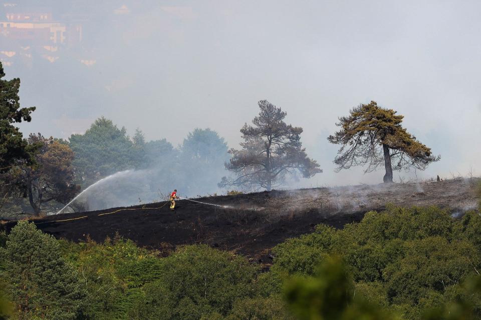 Firefighter at the scene in Lickey Hills Country Park, Birmingham (Anita Marie/SWNS)