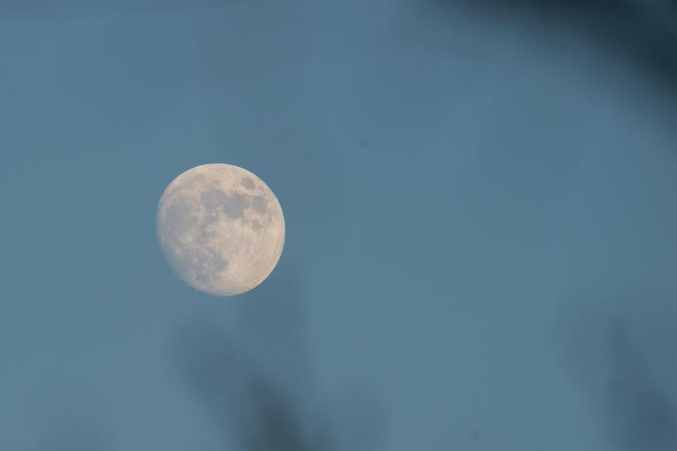 december moon