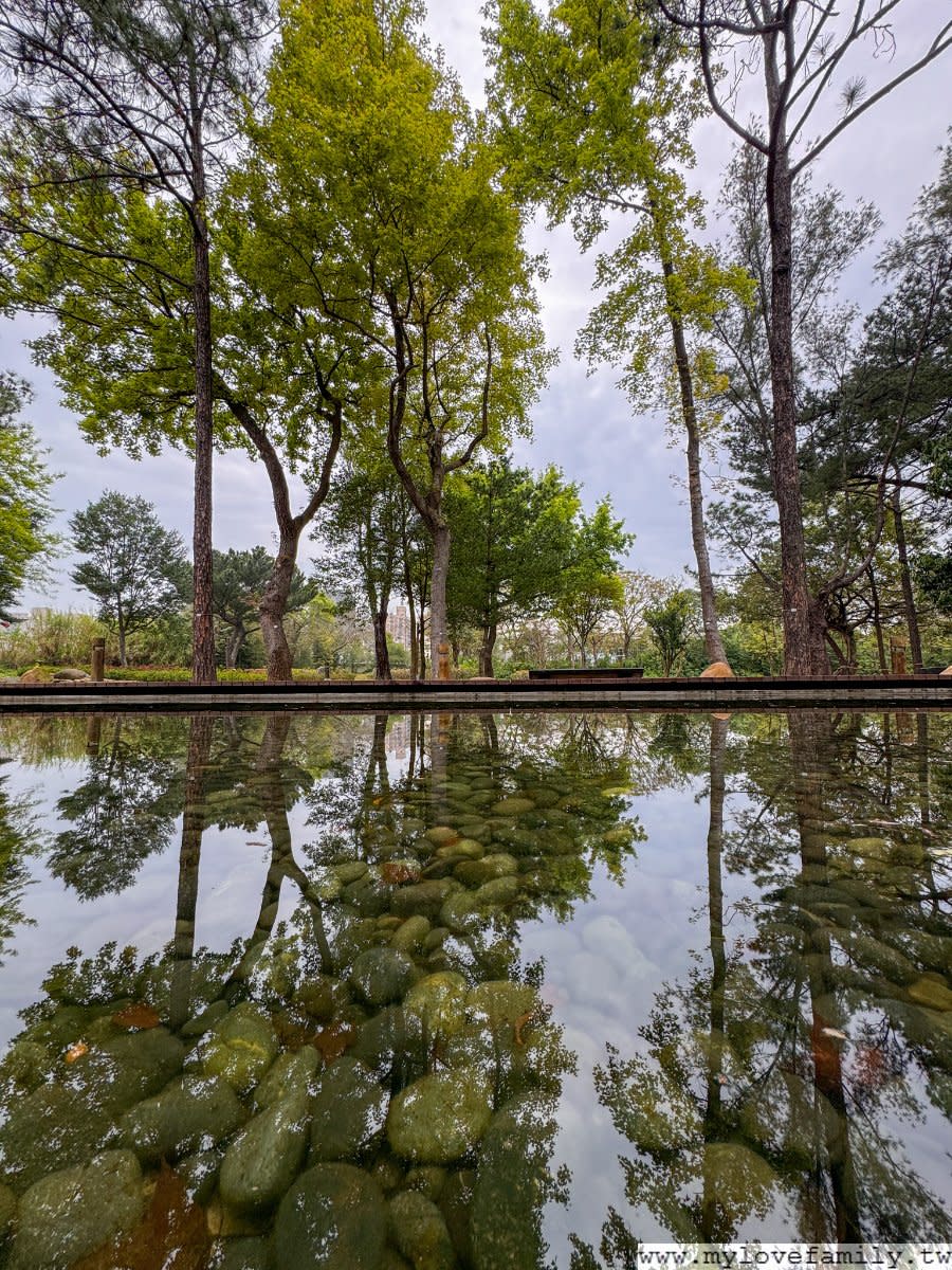 桃園大湳森林公園