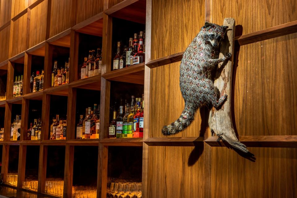 A bedazzled raccoon hangs by the bar at Mulberry Street Tavern inside the Surety Hotel.