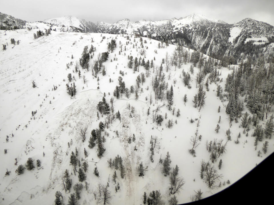 This aerial photo provided by Gallatin National Forest Avalanche Center shows the top half of an avalanche in the Gallatin National Forest, Mont. on Sunday, Feb. 14, 2021. A backcountry skier Craig Kitto, 45, of Bozeman, suffered fatal injuries when the Gallatin National Forest slope he and a companion were climbing cracked without warning, collapsed and swept him downhill into a tree. The other person wasn't hurt. (Gallatin National Forest Avalanche Center via AP)