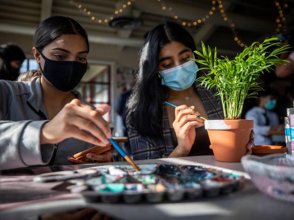 In the plant project, students in Mariam Hazhir's class at Tamanawis Secondary School care for a plant in their own personalized pots. (Ben Nelms/CBC - image credit)