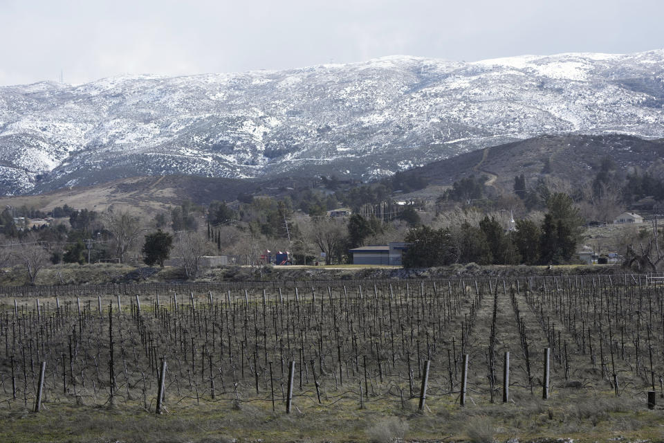 Snow covers the hills close to a vineyard on Wednesday, March 1, 2023, in the outskirts of Palmdale, Calif. (AP Photo/Marcio Jose Sanchez)