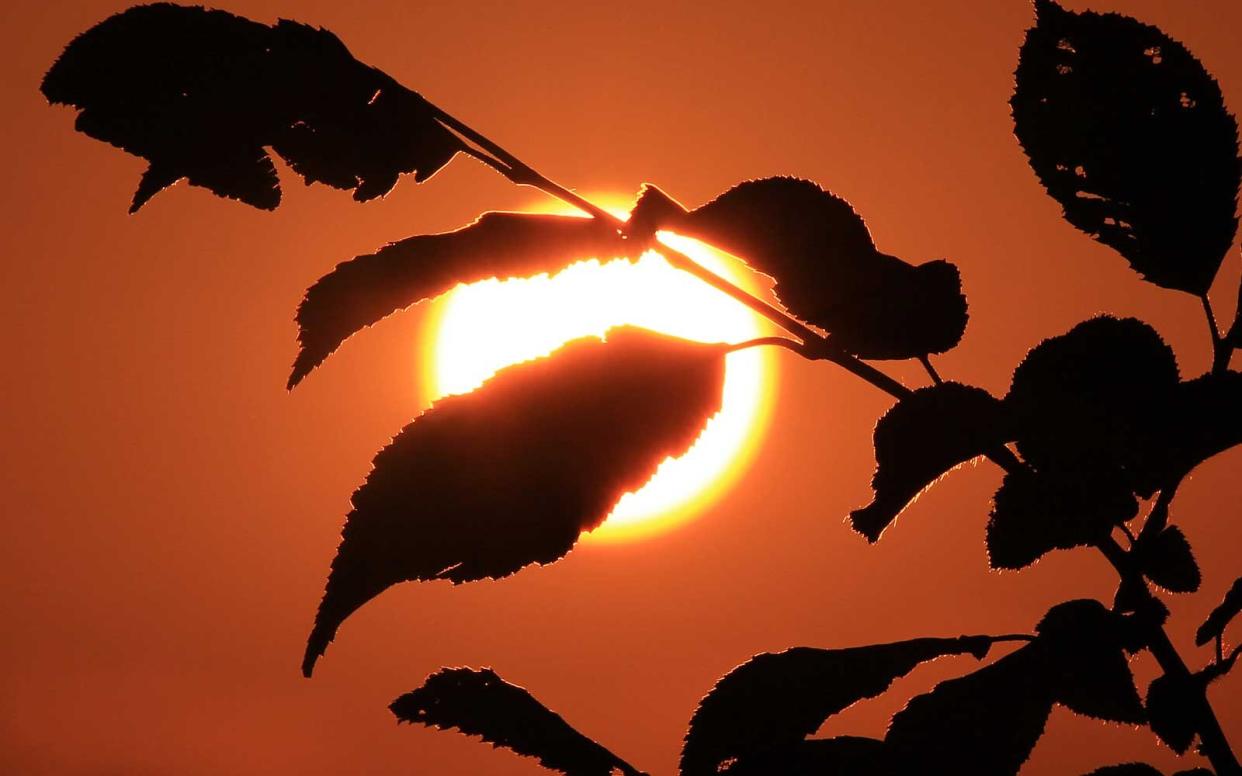 Solar Eclipse Last Minute View