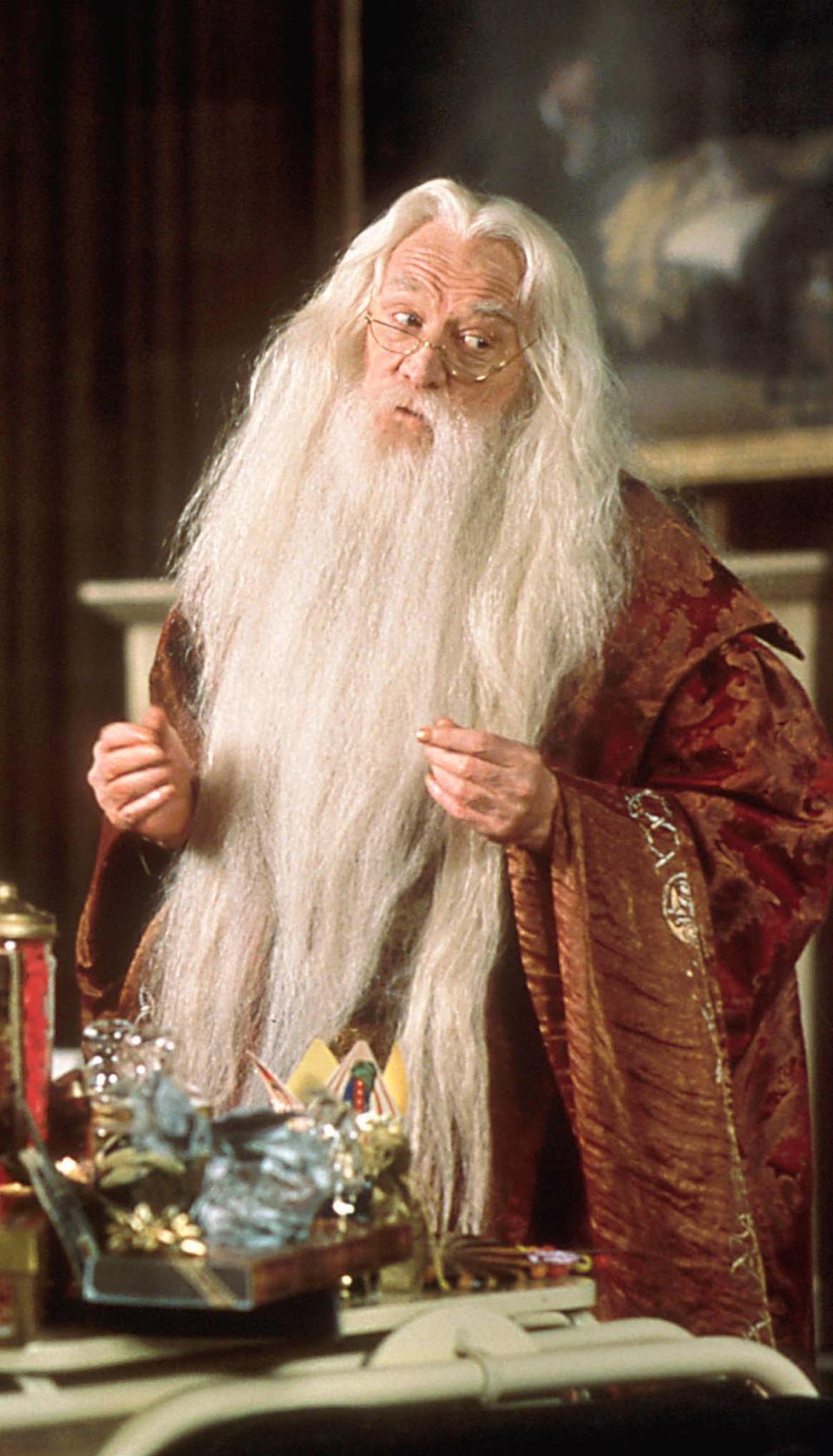 The late Richard Harris as Dumbledore (Warner Bros/Sky)