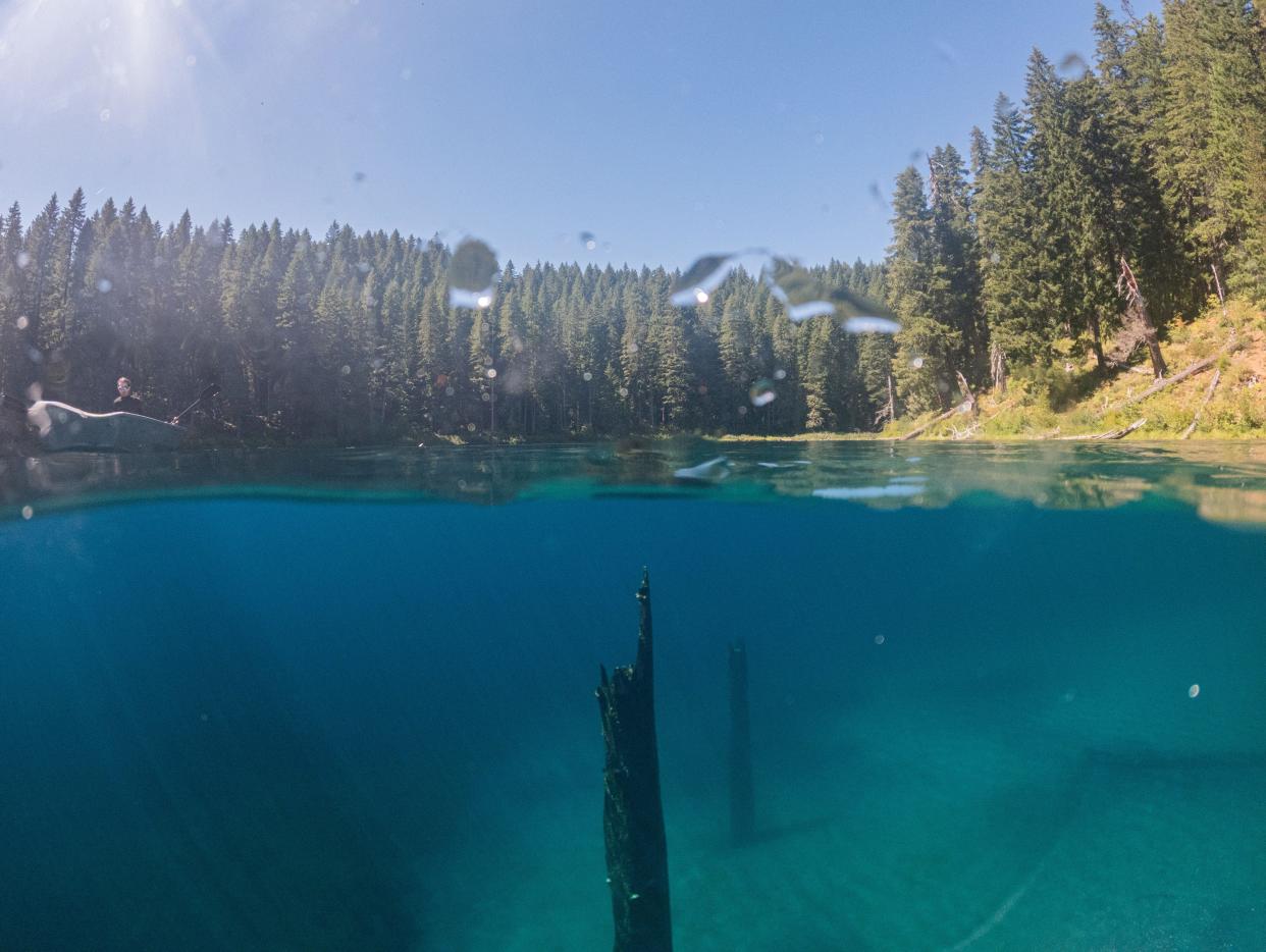 Sam Morrison floats above sunken trees near the north bank of Clear Lake in Willamette National Forest.