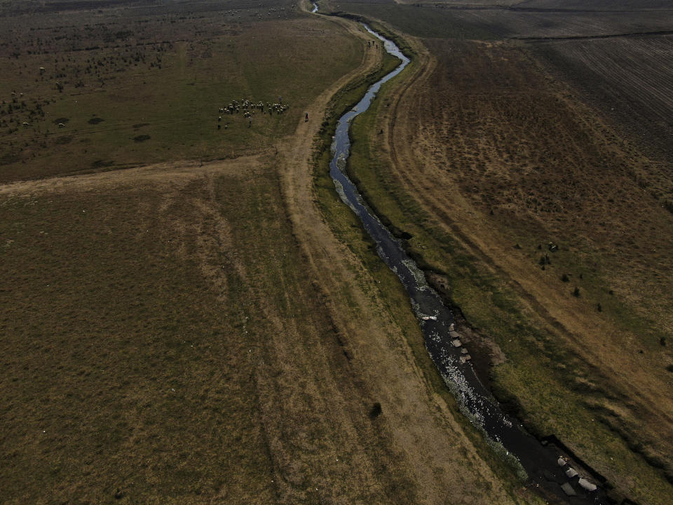 Shepherds walk with their flock along the banks of the Villa Victoria Dam, the main water supply for Mexico City residents, on the outskirts of Toluca, Mexico, Thursday, April 22, 2021. Drought conditions now cover 85% of Mexico, and in areas around Mexico City and Michoacán, the problem has gotten so bad that lakes and reservoirs are drying up. (AP Photo/Fernando Llano)