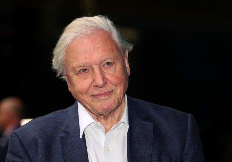 FILE PHOTO: Broadcaster and film maker David Attenborough attends the premiere of Blue Planet II at the British Film Institute in London